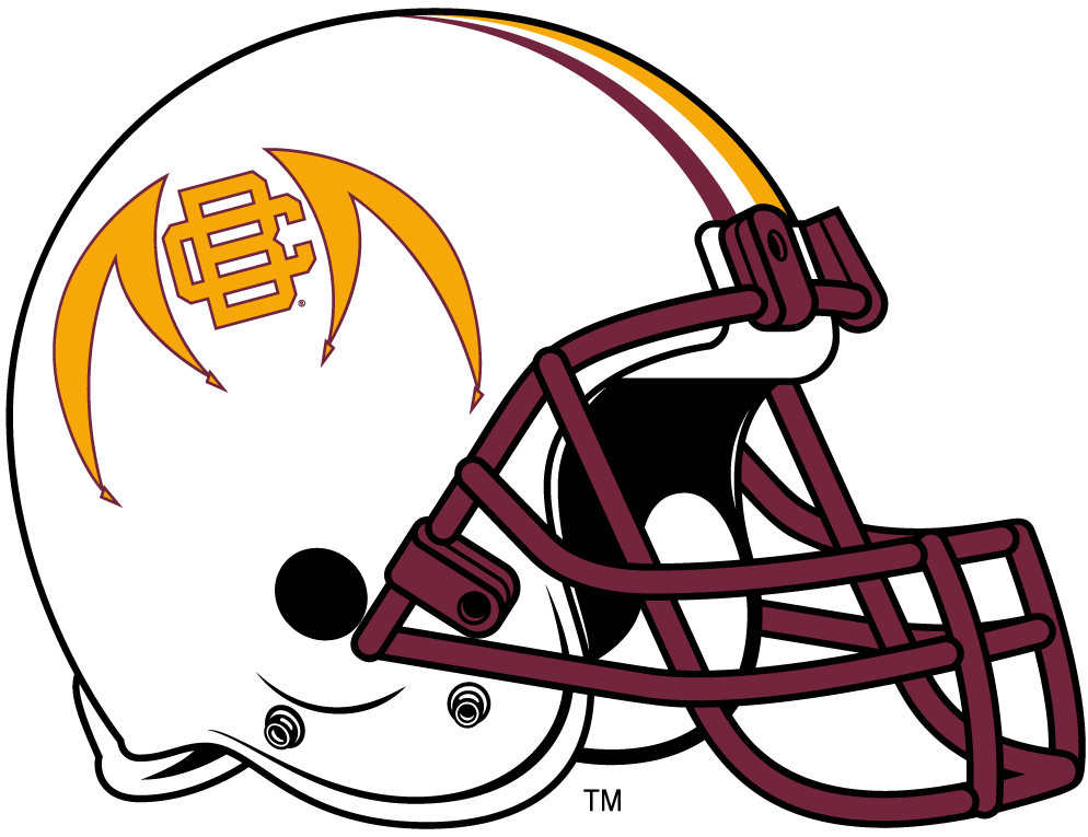 Bethune-Cookman Wildcats 2010-2015 Helmet Logo diy DTF decal sticker